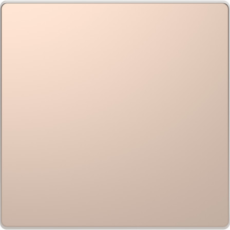 D-Life - enjoliveur pour commande simple sans marquage - métal champagne