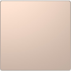 D-Life - enjoliveur pour commande simple sans marquage - métal champagne