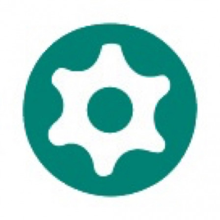 tournevis resistorx 15x80 mm