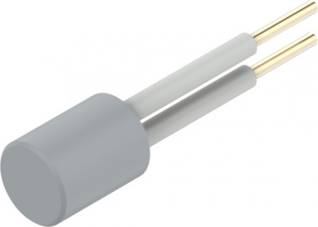 CPX-W-PT1000 Résistance