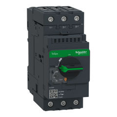 Disjoncteur 80A Everlink