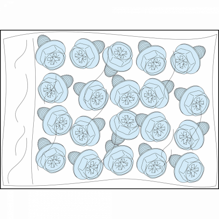 PrismaSeT G - Vis autotaraudeuses fixation sur chassis - lot de 20 - M5