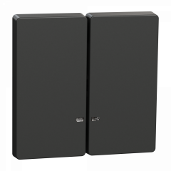 D-Life - enjoliveur pour commande double avec voyant - anthracite