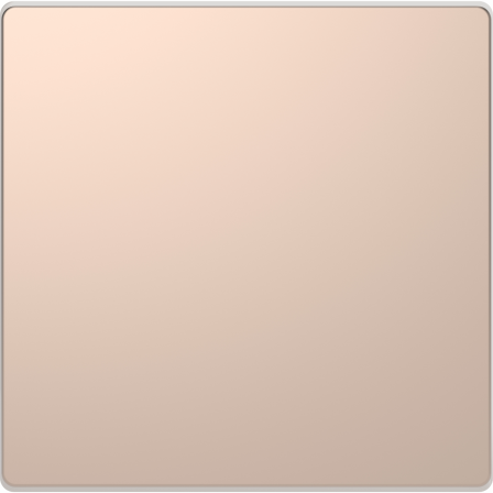 D-Life - obturateur - métal champagne - méca + enjoliveur