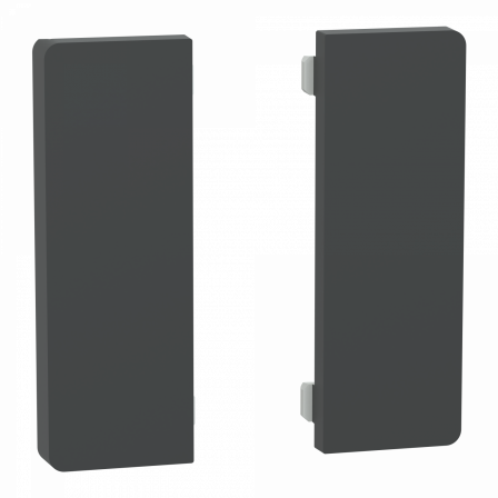 SpaceLogic KNX - D-Life - Dynamique - 2 touches médiannes - Anthracite