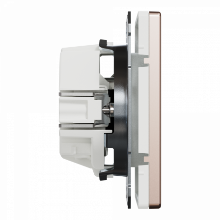 D-Life - prise de courant 2P+T - FR - méca + enjoliveur - métal champagne