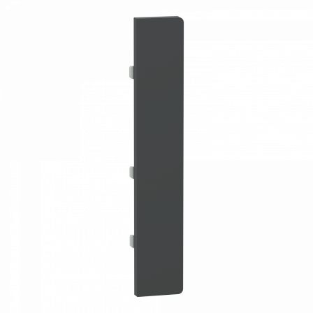 SpaceLogic KNX - D-Life - Dynamique - 1 touche grande - Anthracite