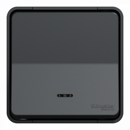 Mureva Styl - Bouton poussoir lumineux LED - saillie - IP55 - IK08 - gris