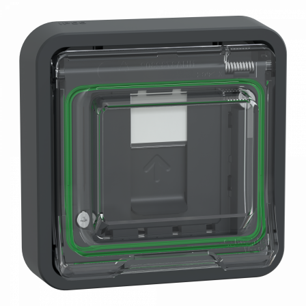 Mureva Styl - Prise RJ45 cat 6A blindé STP FTP - composable - IP55 IK07 - gris