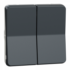 Mureva Styl - Double bouton poussoir - composable - IP55 - IK07 - gris