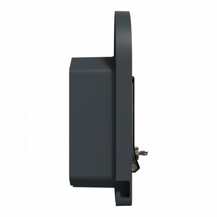 Mureva EVlink - Prise courant 2P+T renforcée pour VE - IP66 IK08 - à clé - gris