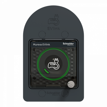 Mureva EVlink - Prise courant 2P+T renforcée pour VE - IP66 IK08 - à clé - gris