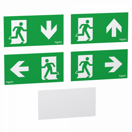 Exiway - Jeu de 5 Pictos de rechange Spot Smartbeam