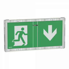 Dicube Exiway Smart - BAES adressable évacuation - IP65 - LED - 45lm - LiFePO4