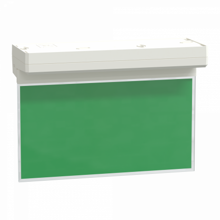 Dicube Exiway SmartExit - évacuation Bloc à tranche - LED - 45 lm - LiFePO4