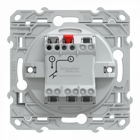 Ovalis - poussoir à fermeture avec porte-étiquette - 10AX - Blanc