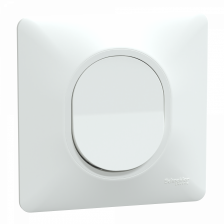 Ovalis - bouton poussoir à fermeture - 10AX - Blanc - griffes montées - plaque