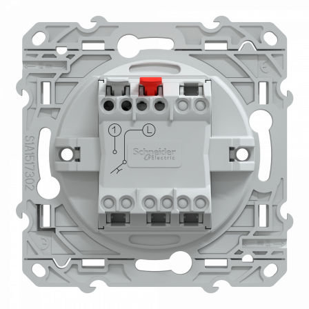Ovalis - bouton poussoir à fermeture - 10A - Anthracite