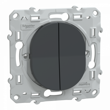 Ovalis - double poussoir fermeture - 10AX - Anthracite