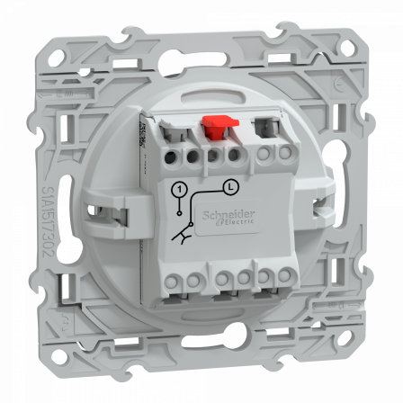 Ovalis - poussoir à fermeture avec porte-étiquette - 10AX - Anthracite