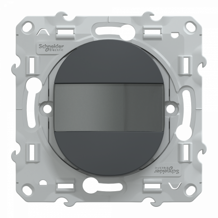 Ovalis - poussoir à fermeture avec porte-étiquette - 10AX - Anthracite
