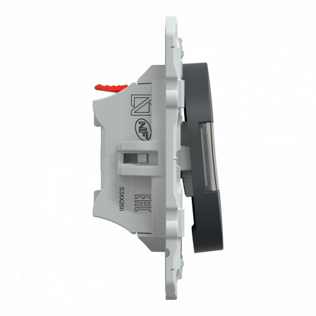 Ovalis - poussoir à fermeture avec porte-étiquette - 10AX - Anthracite