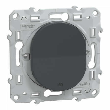 Ovalis - poussoir à fermeture lumineux - 10AX - LED bleu 250V - Anthracite