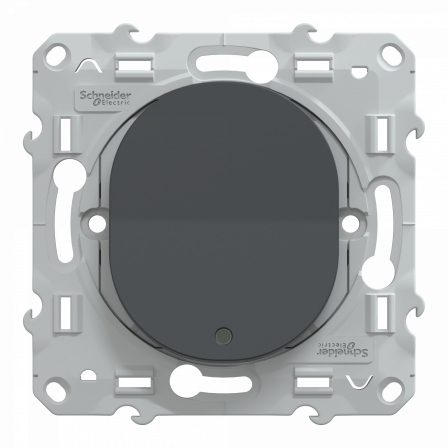 Ovalis - poussoir à fermeture lumineux - 10AX - LED bleu 250V - Anthracite