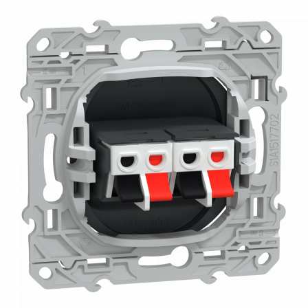 Ovalis - Prise haut-parleur 2 sorties - Anthracite