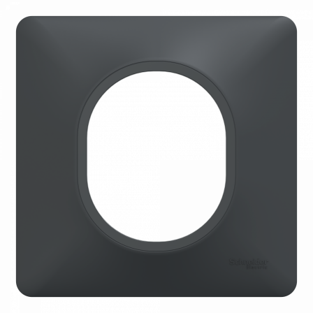 Ovalis - Plaque de finition - 1 poste Anthracite