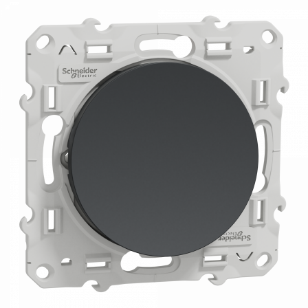 Odace - va-et-vient - anthracite - 10A