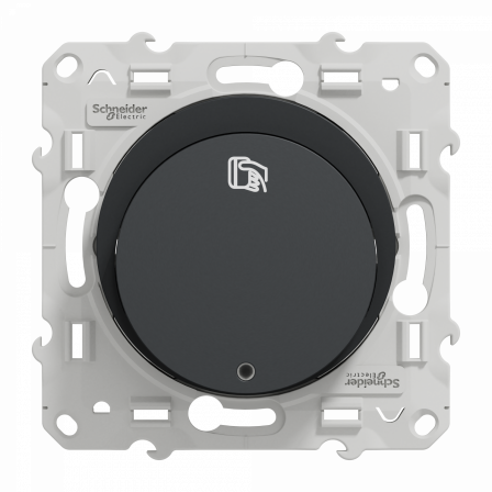 Odace - interrupteur à carte 10A - anthracite