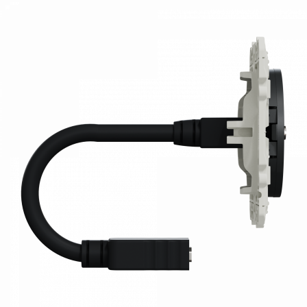 Odace - prise HDMI type A - anthracite - prise femelle / câble femelle arrière