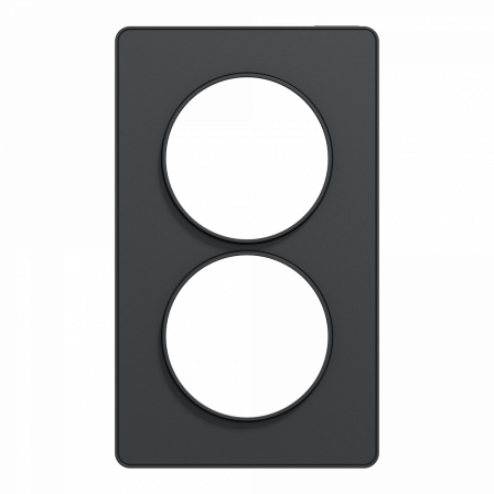 Odace Touch - plaque 2 postes verticaux entraxe 57mm anthracite