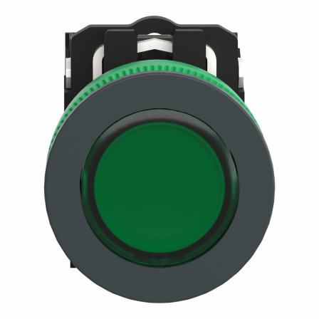 Harmony XB5 - BP lumineux DEL - flush - vert - 1O+1F - 24V - vis étrier