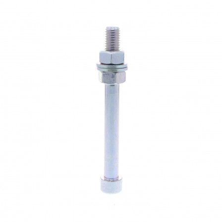 TIGEM12 POUR PIED XUZ2003