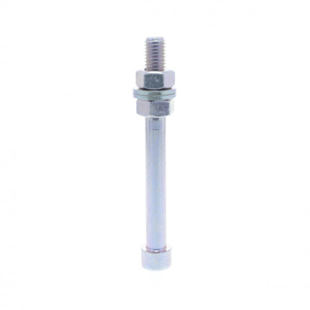 TIGEM12 POUR PIED XUZ2003