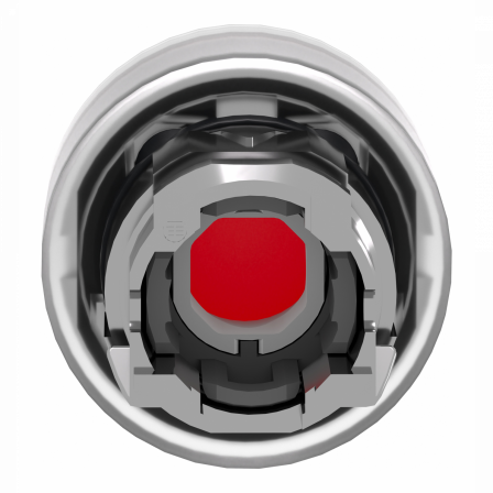 Harmony tête de bouton poussoir + capuchon IP69K - Ø22 - rouge