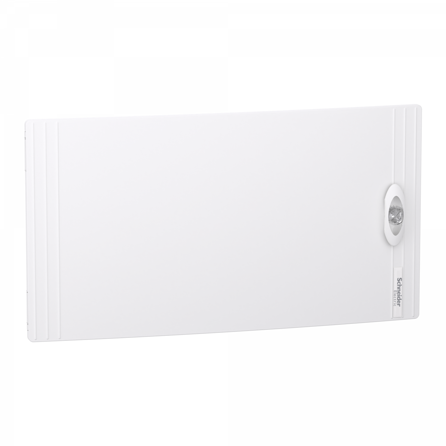 PrismaSeT XS - Porte pleine RAL9003 pour coffret saillie 1 rangée 24 modules