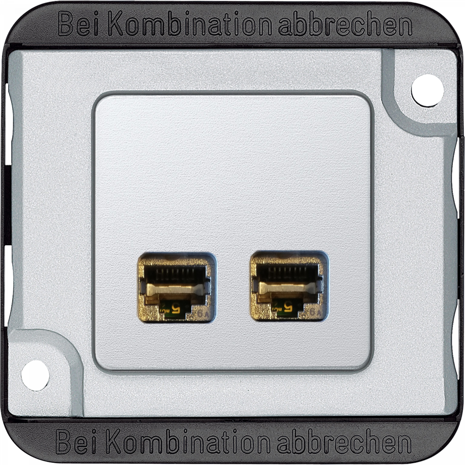 Anti-vandalisme - prise de communication double RJ45 - cat.6 A - IK08/IP20