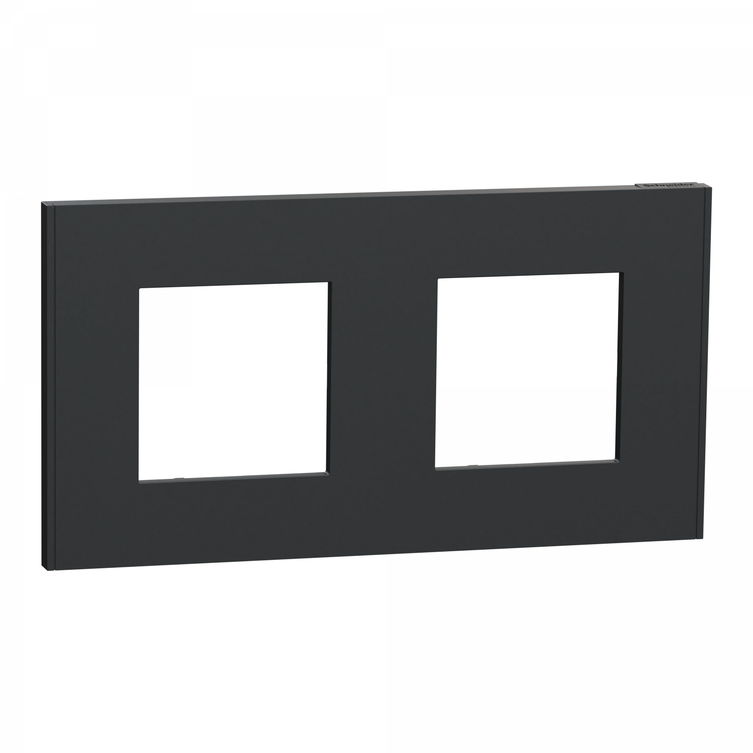 Unica Déco Essentielle - Plaque de finition - Anthracite - 2 postes horiz vert