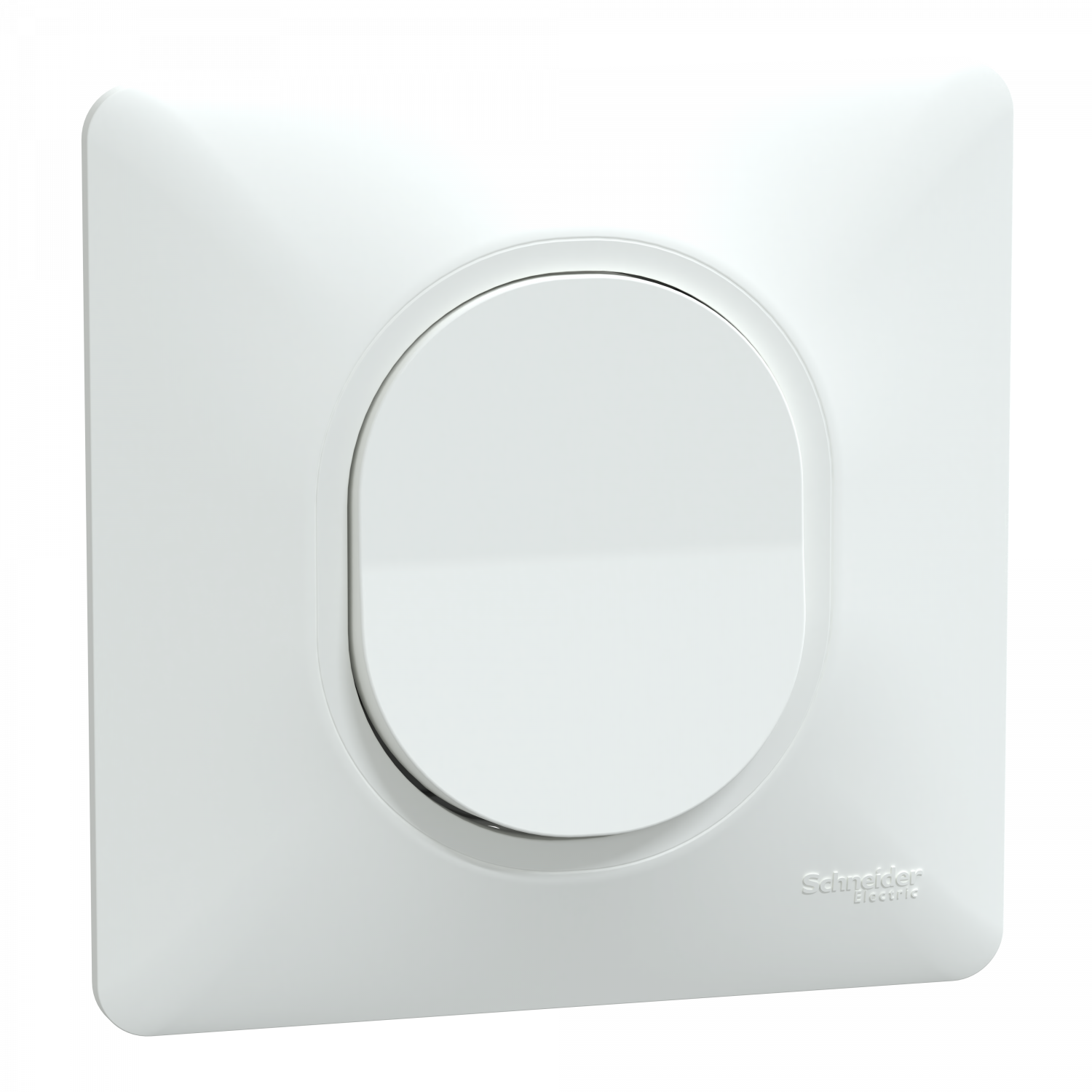 Ovalis - interrupteur va et vient - 10AX - Blanc - griffes montées - avec plaque