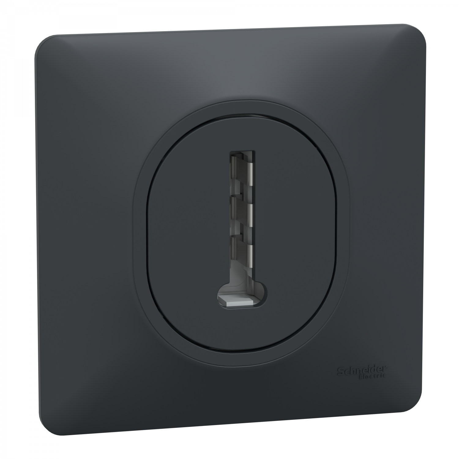 Ovalis - Prise téléphone en T - 8 contacts - avec plaque - Anthracite