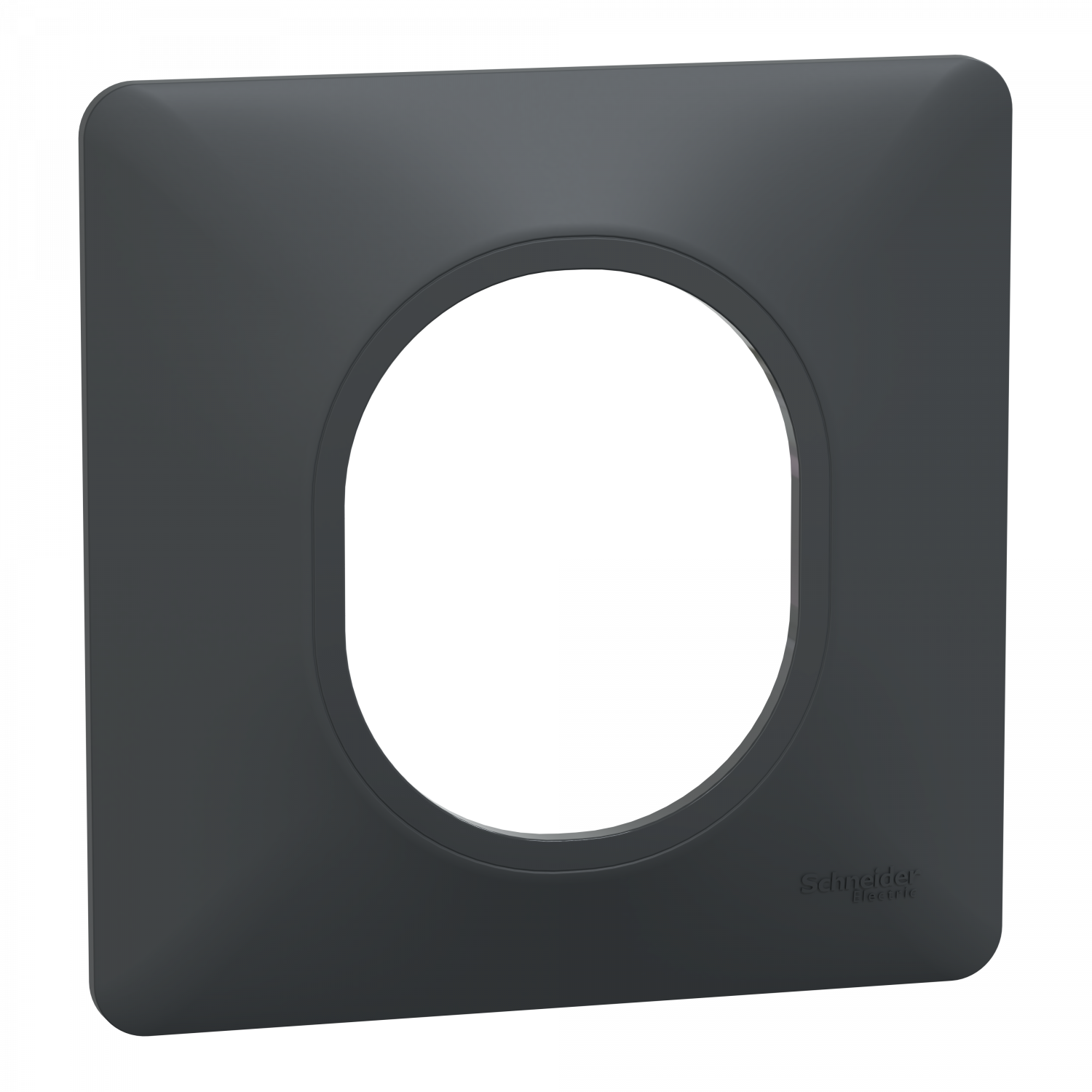 Ovalis - Plaque de finition - 1 poste Anthracite