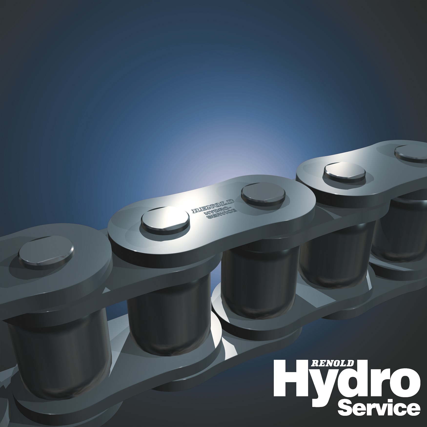 CHAINE A ROULEAUX HYDROSERVICE 15,87S 50-1 ASA