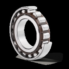 Roulement à rouleaux cylindriques à 1 rangée