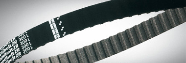 COURROIE DENTEE ZR 90 XL 031